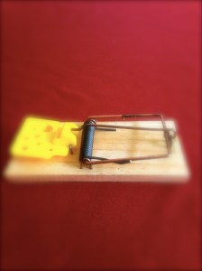 mouse trap