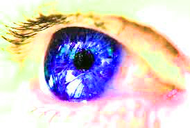 eye