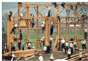 barn-raising.jpg